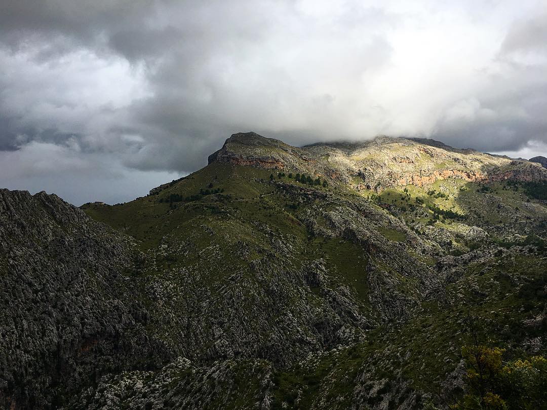 Mallorca 3