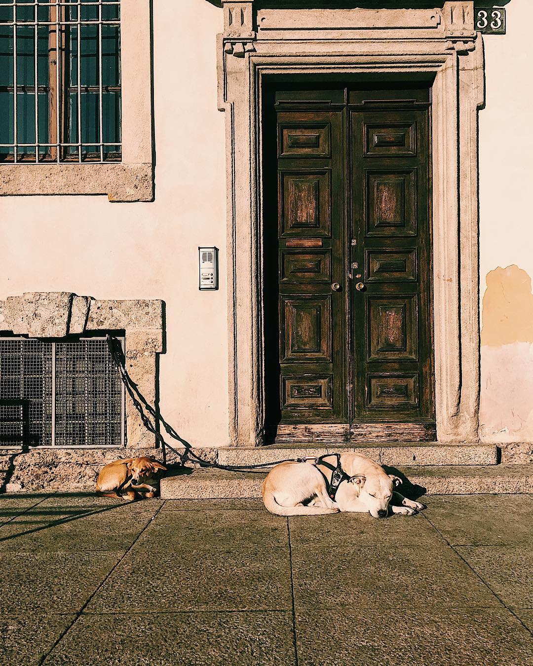 Milan 5